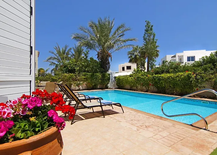 Palm * プロタラス