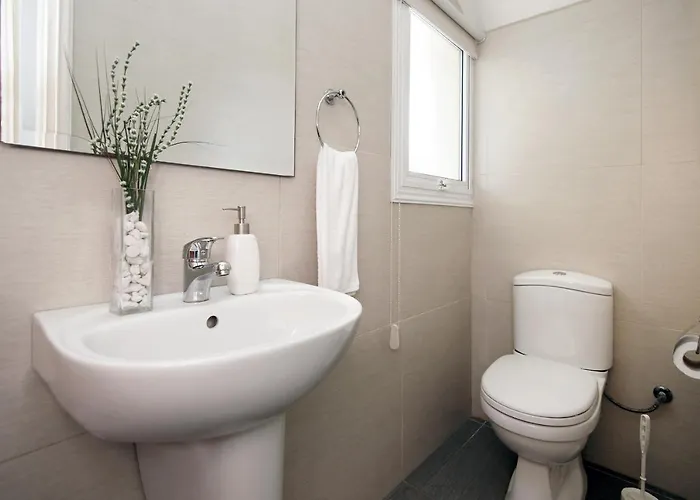 Palm * プロタラス