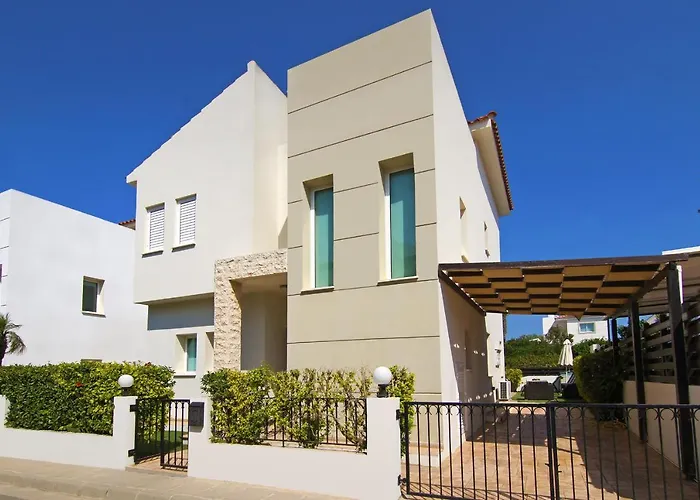 Palm * プロタラス